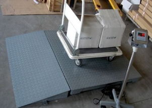 專業直供 1噸、2噸、3噸電子地磅與配套網絡技術服務，一站式解決方案