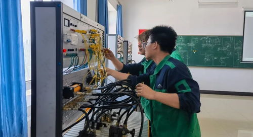 金川集團(tuán)選礦廠 專業(yè)化塑造與技能強(qiáng)化，鍛造過硬維保隊伍